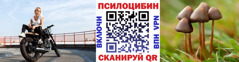 Псилоцибиновые грибы Psilocybe  Соликамск 